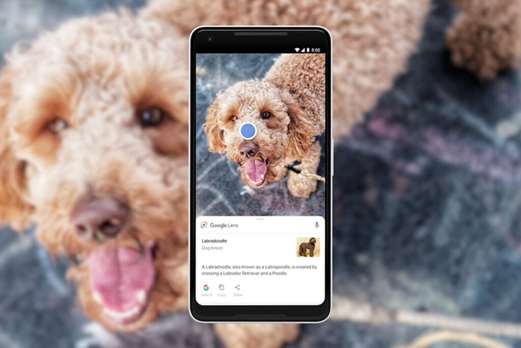Google-Lens apk